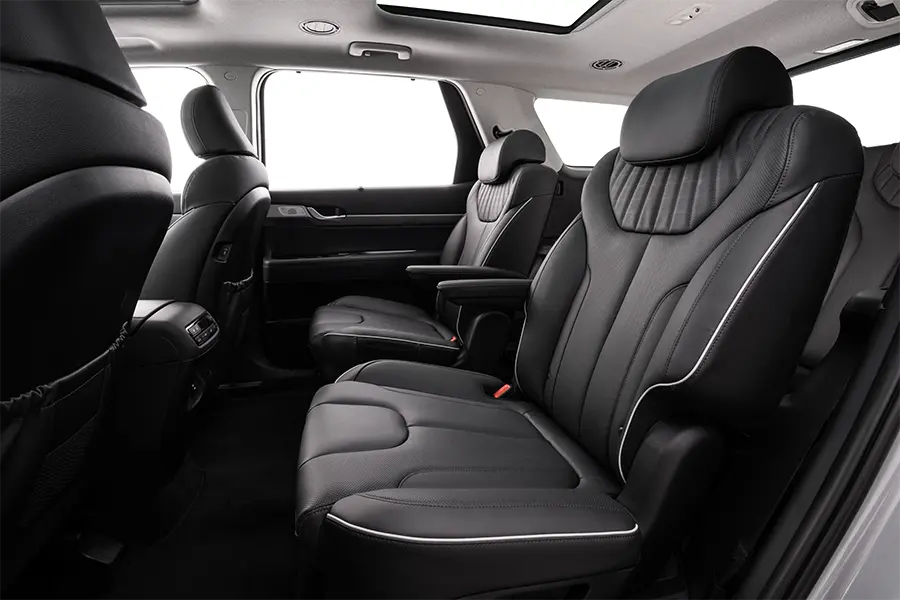 PALISADE_Interior 900x600_Rear passenger comfort