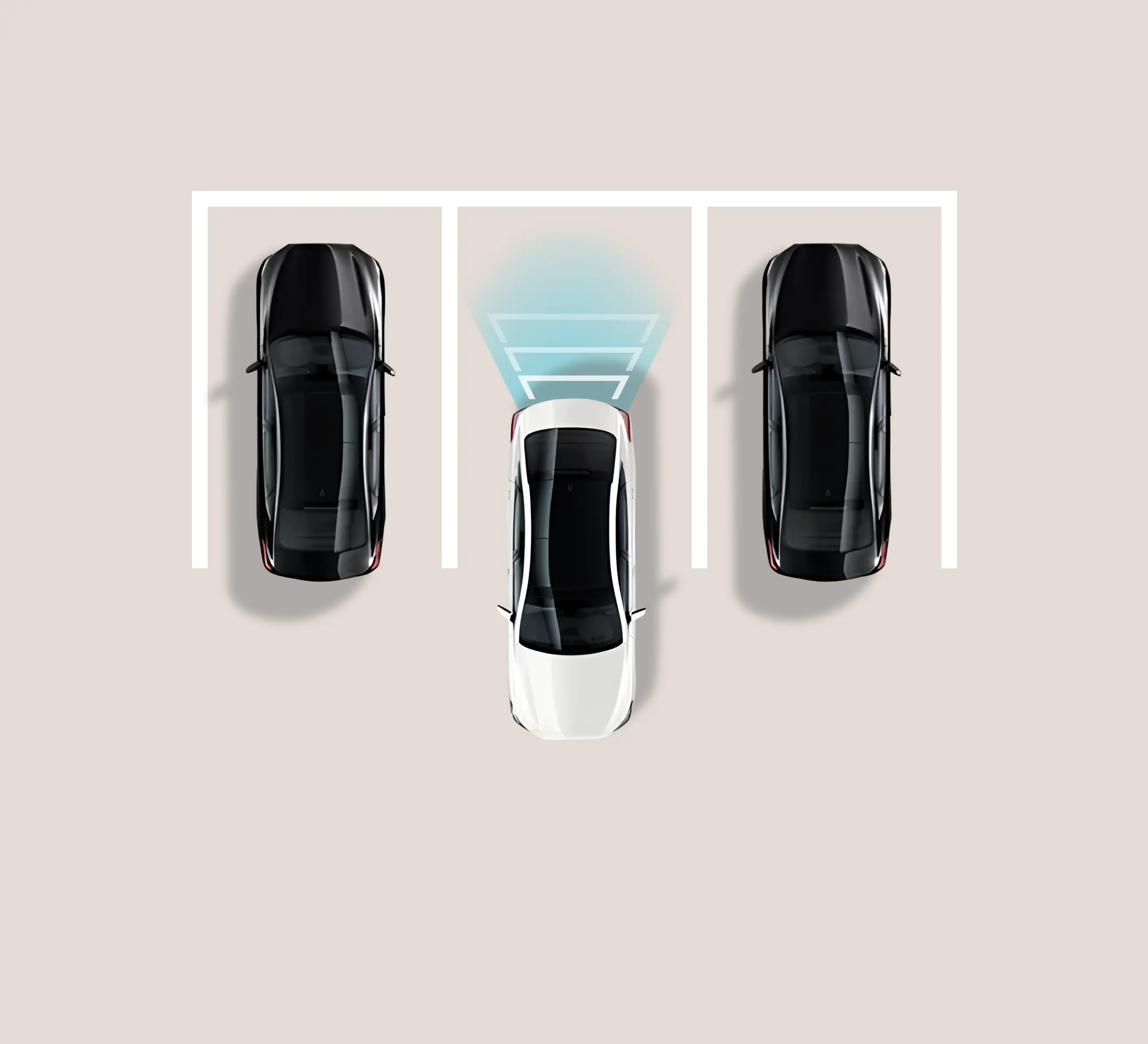 safety-rear-park-assist