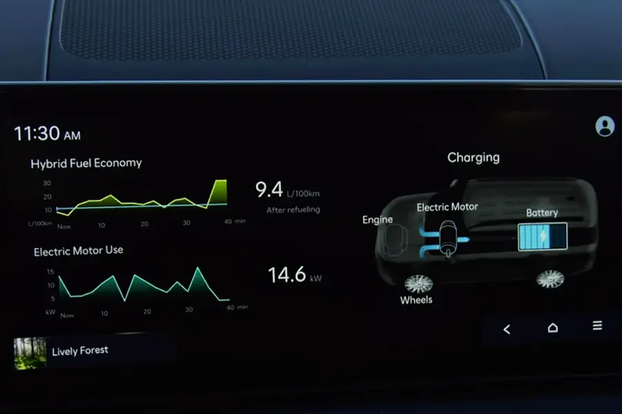 Santa Fe Performance 900 x 600 Energy Display
